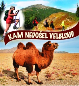 Kam nedošel velbloud 2024